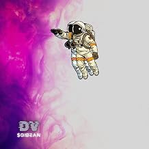 StellarFields Lofi [Explicit]